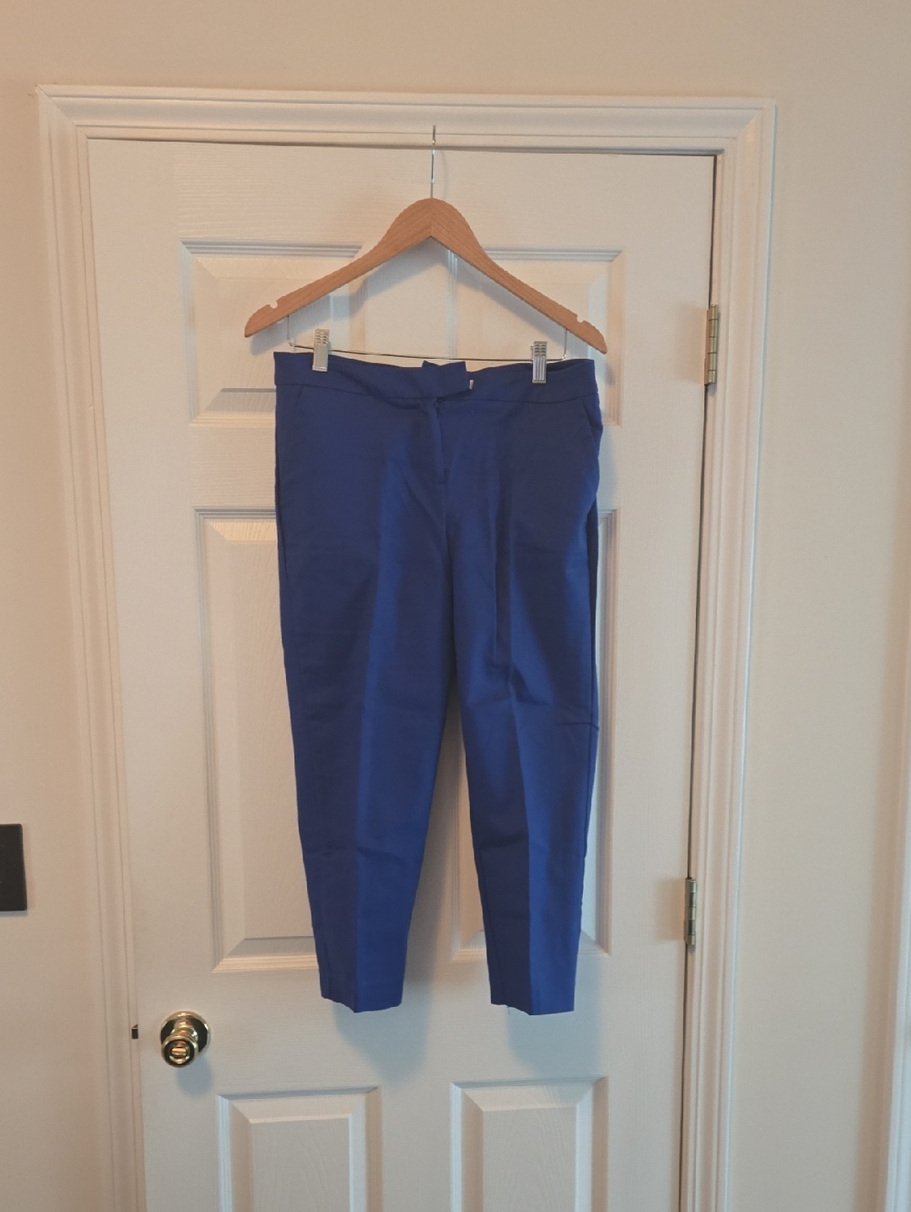 Jones New York Cropped Ankle Pants in Royal Blue
